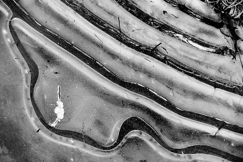 Black and white abstract of ice in the zone system