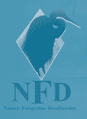 NFD logo